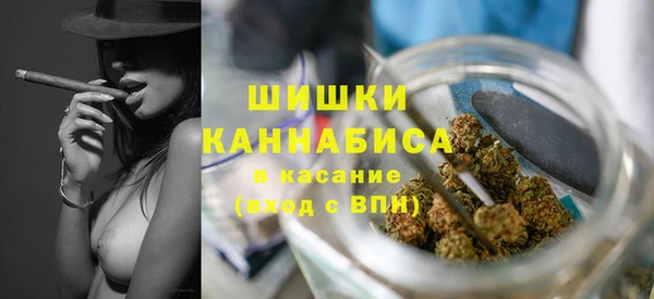 PSILOCYBIN Богородск